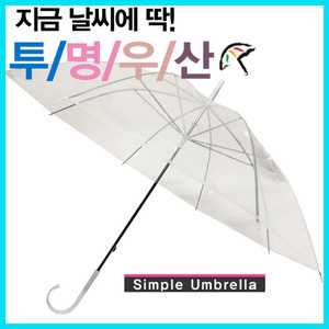 투명우산 (10개) / 비우산