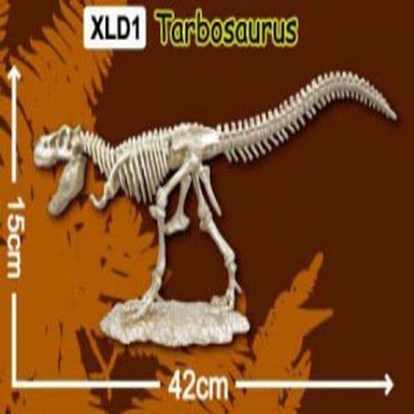 한반도 공룡뼈발굴(특대형) - 타르보사우루스 / 백악기 공룡