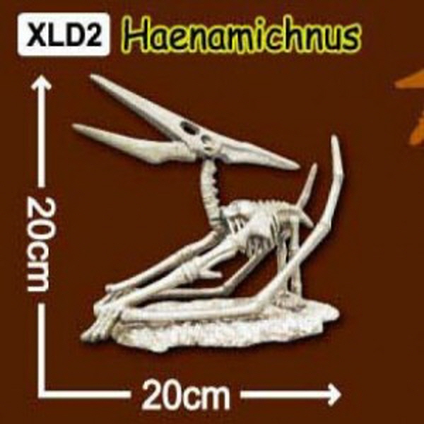 한반도 공룡뼈발굴(특대형) - 해남이크누스 / 우리나라의 토종공룡