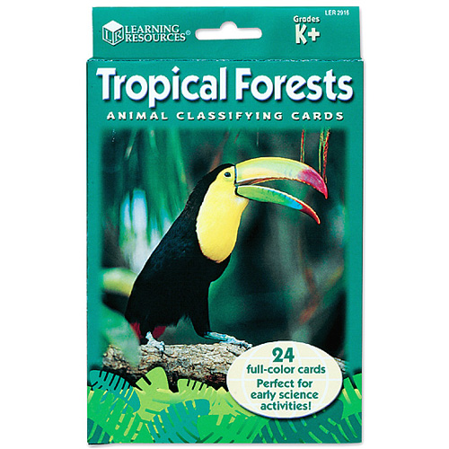 [EDU 2916] 동물 분류 카드 - 열대 우림 동물 Animal Classfying Cards Tropical Forests / 동물관찰