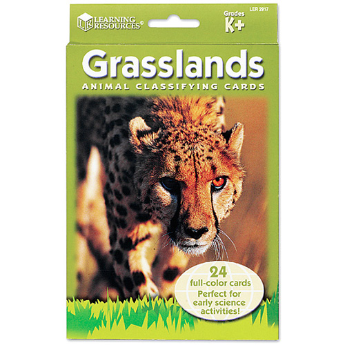 [EDU 2917] 동물 분류 카드 - 초원 지대 동물 Animal Classfying Cards Grasslands / 동물관찰