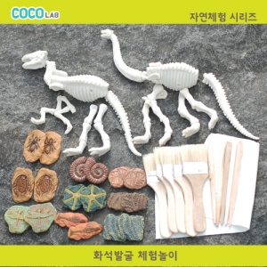 [과학교구] 화석발굴체험 놀이키트(5인용) / 공룡화석, 식물화석, 곤충화석, 수중생물화석