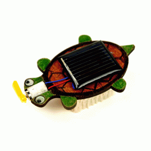 태양광 거북이 진동로봇 (2개) / DIY 태양광 로봇만들기