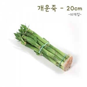 [식물키우기] 개운죽20cm-10P *최소수량 5개